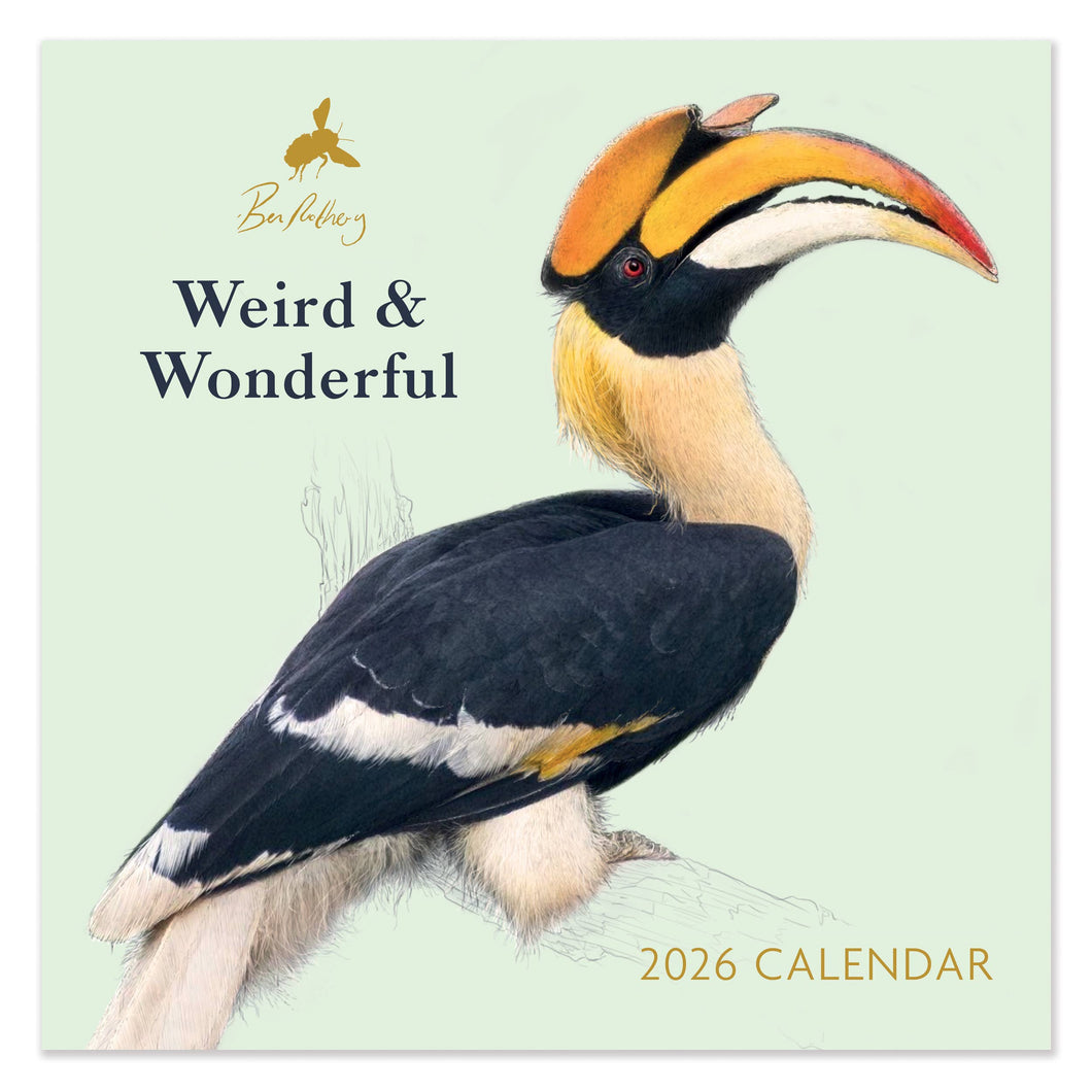 Calendario Ben Rothery cuadrado 2026