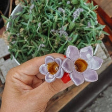 Campanilla morada de cerámicaula + palito