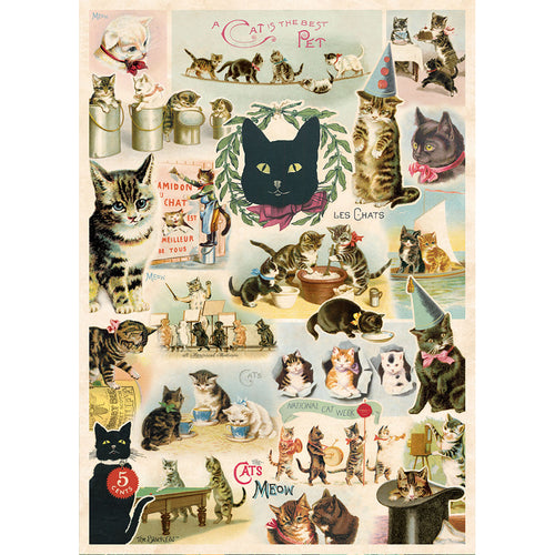 Poster-Wrap Cat Collage