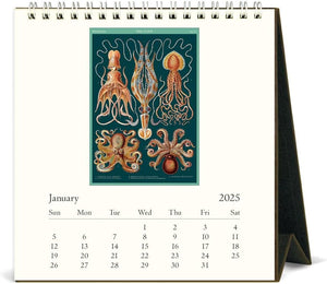 Calendario de Mesa Sea Life 2025