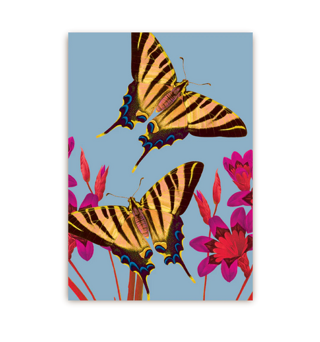 Postal Ixia Butterfly