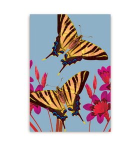 Postal Ixia Butterfly