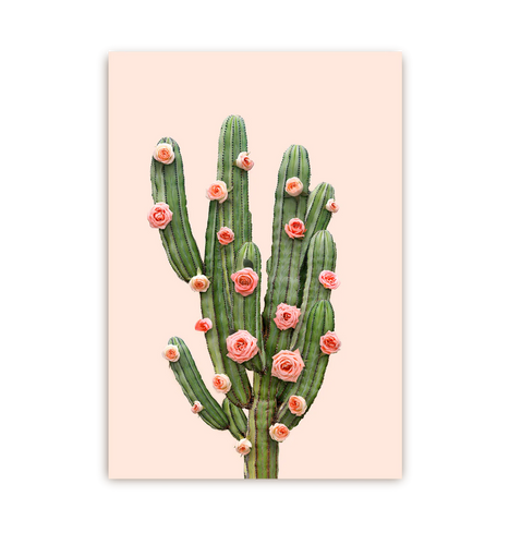 Postal Floral Cactus