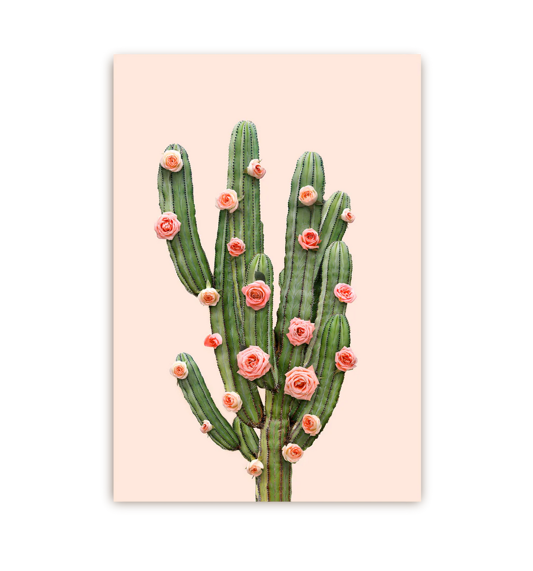 Postal Floral Cactus