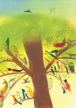 'Wilderness'