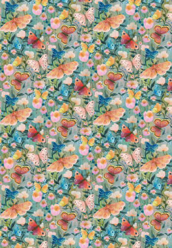 <transcy>Hummingbird paper</transcy>