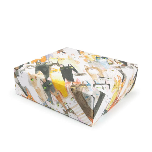 Papel 'Cats Cats Cats'