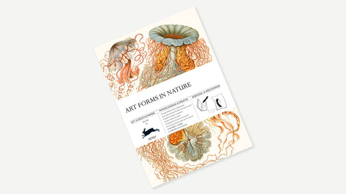Art Forms in Nature Book