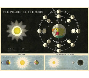 Poster-Wrap Phases of the Moon de Cavallini & Co.