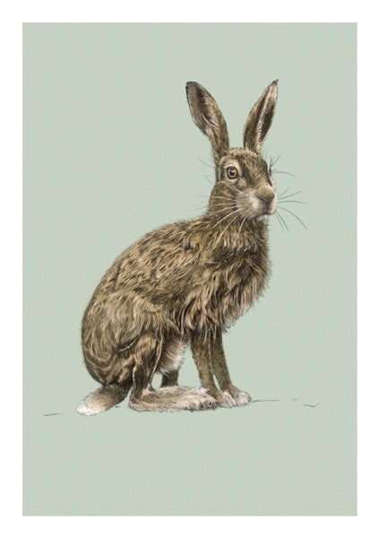 <transcy>Birthday hare</transcy>