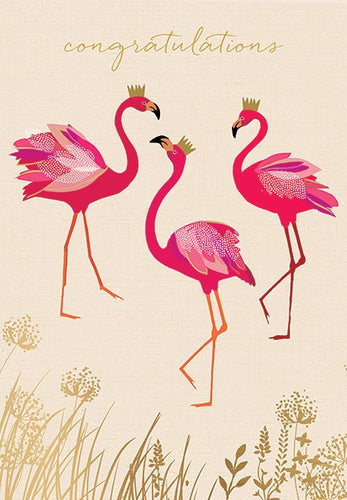 Congratulations 'Flamingos'